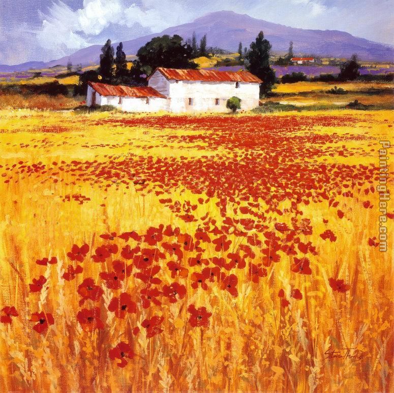 Poppies painting - Steve Thoms Poppies art painting